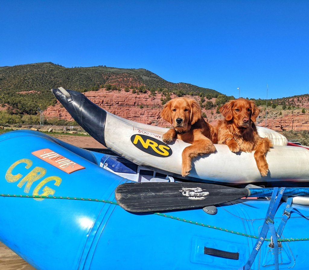 rafting from steamboat